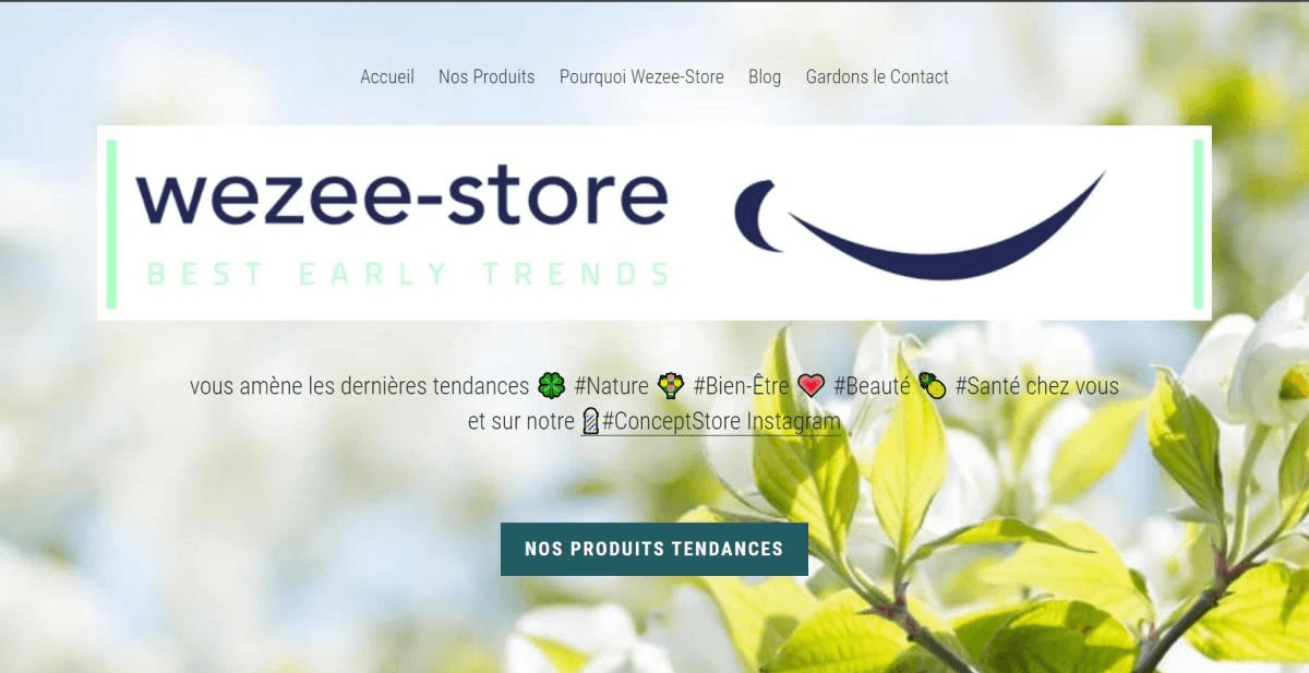 null Wezee Store Strikingly